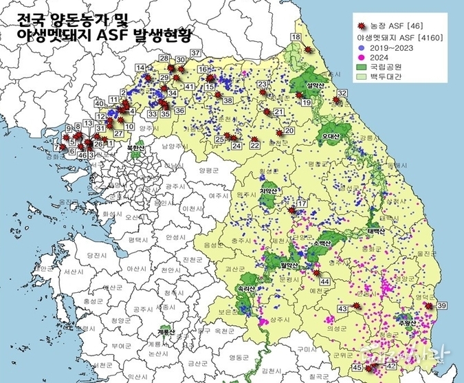 1일 기준 전국 양돈농가 및 야생멧돼지 ASF 발생현황@경기도